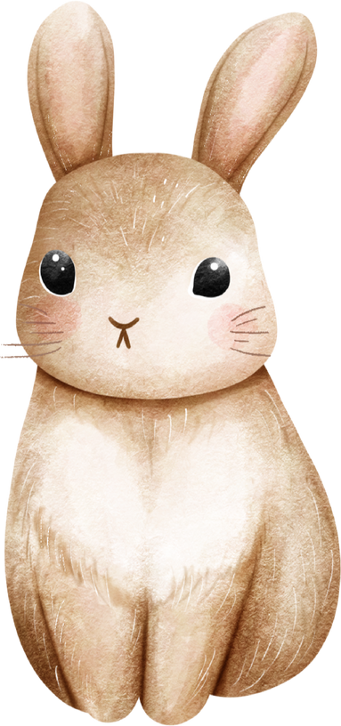 rabbit